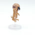 Grell - Rage of Demons - 43/55 Rare